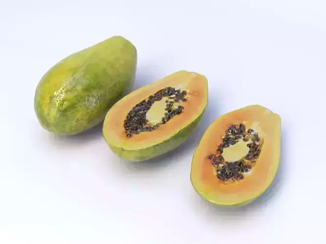 Papaya 3D model