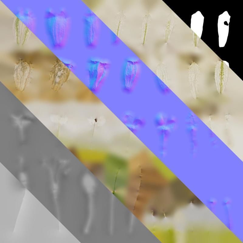 Anydrafts Silene uniflora druetts variegated Flower 02 Texture_8