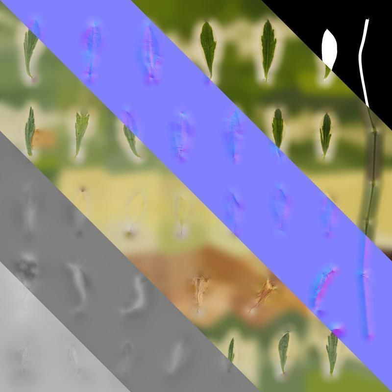 Anydrafts Silene uniflora druetts variegated Leaf 01 Texture_8