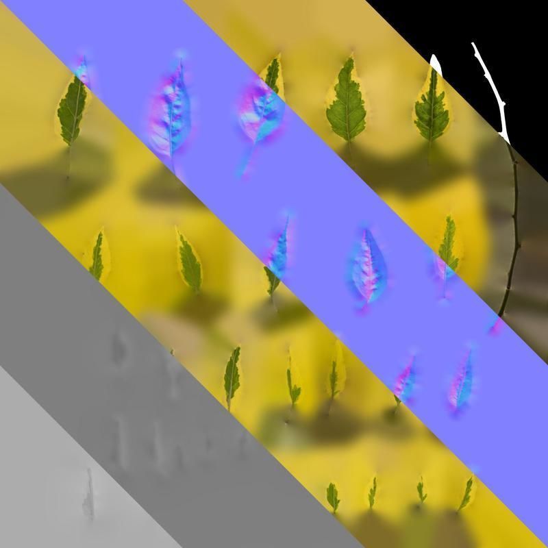 Anydrafts Solanum jasminoides variegata Leaf 01 Texture_8