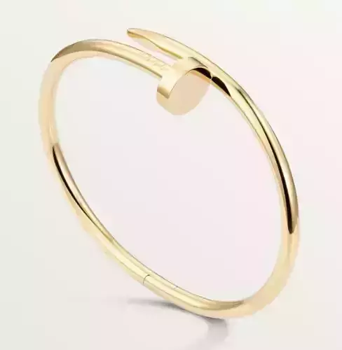 Juste un Clou bracelet classic model Cartie