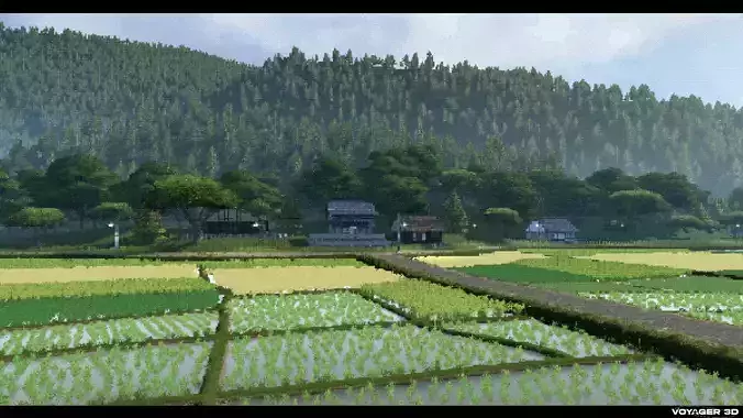 Retro Rice Field