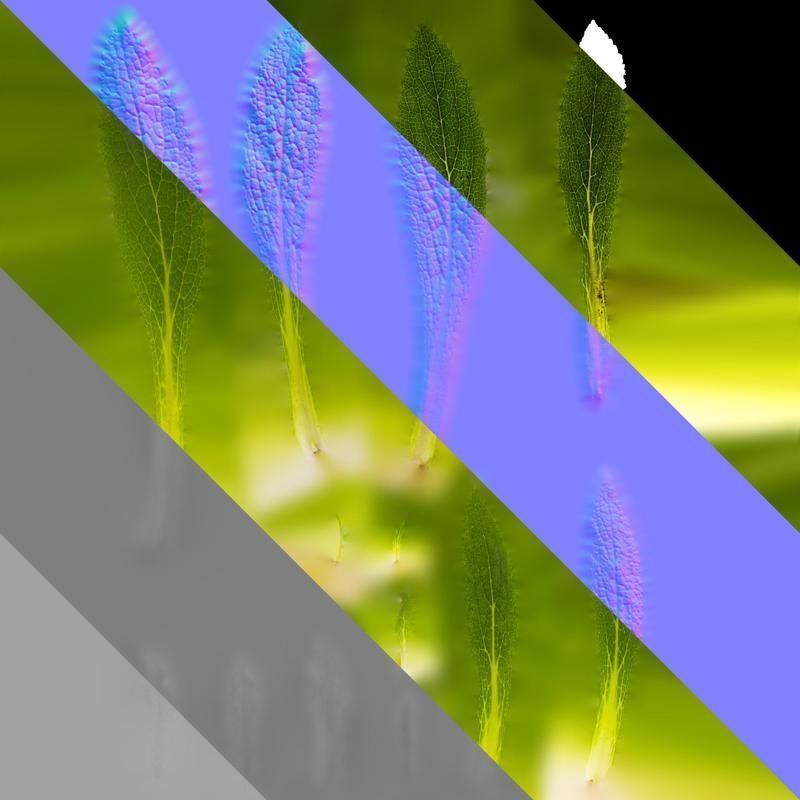 Anydrafts Symphytum officinale Leaf 04 Texture_8