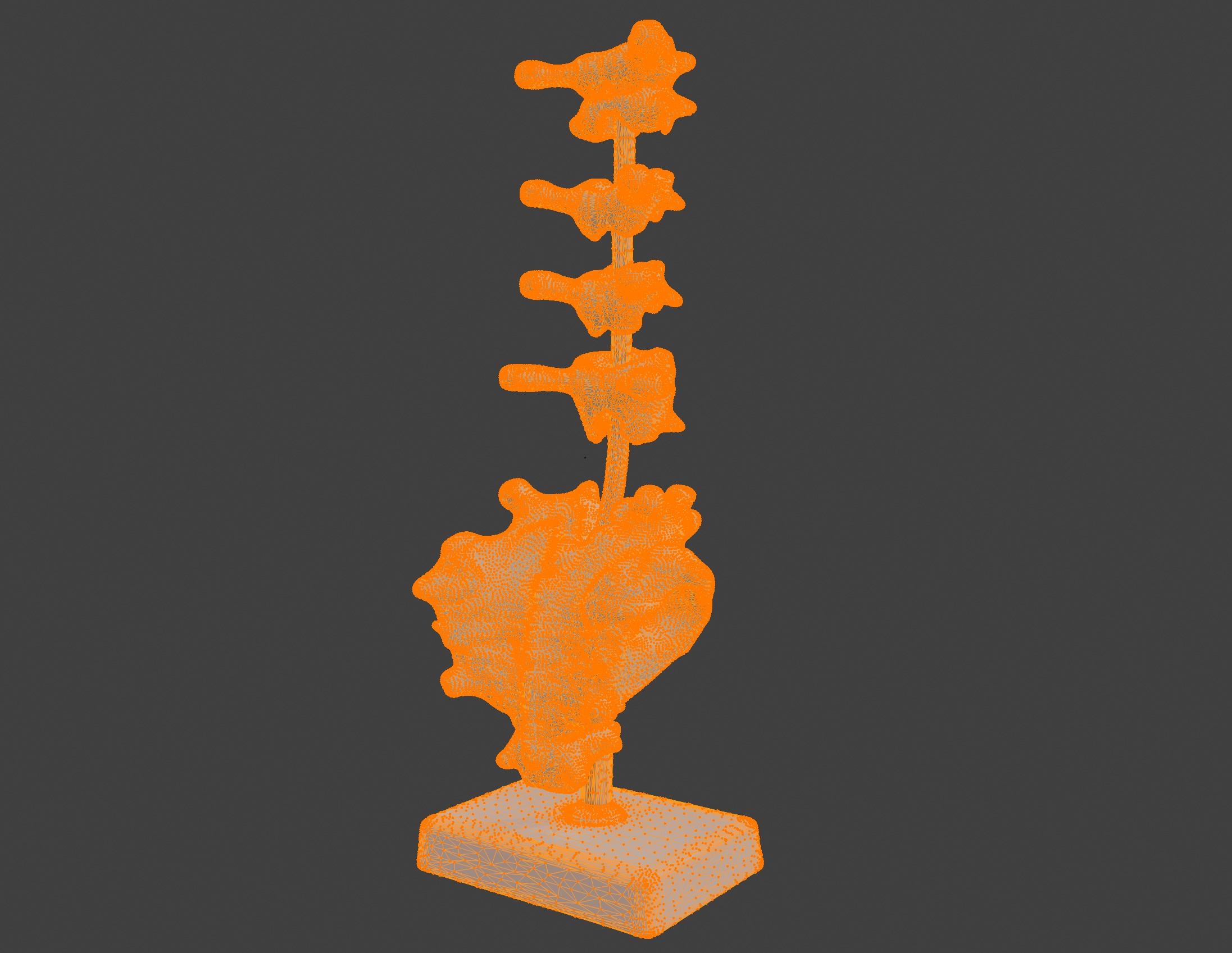 3D Vertebrae Anatomy Model with Stand v4 3D print model_9