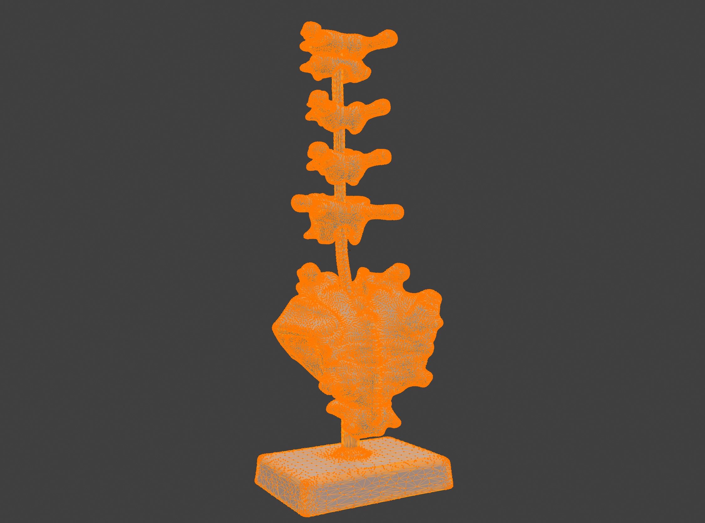 3D Vertebrae Anatomy Model with Stand v4 3D print model_10