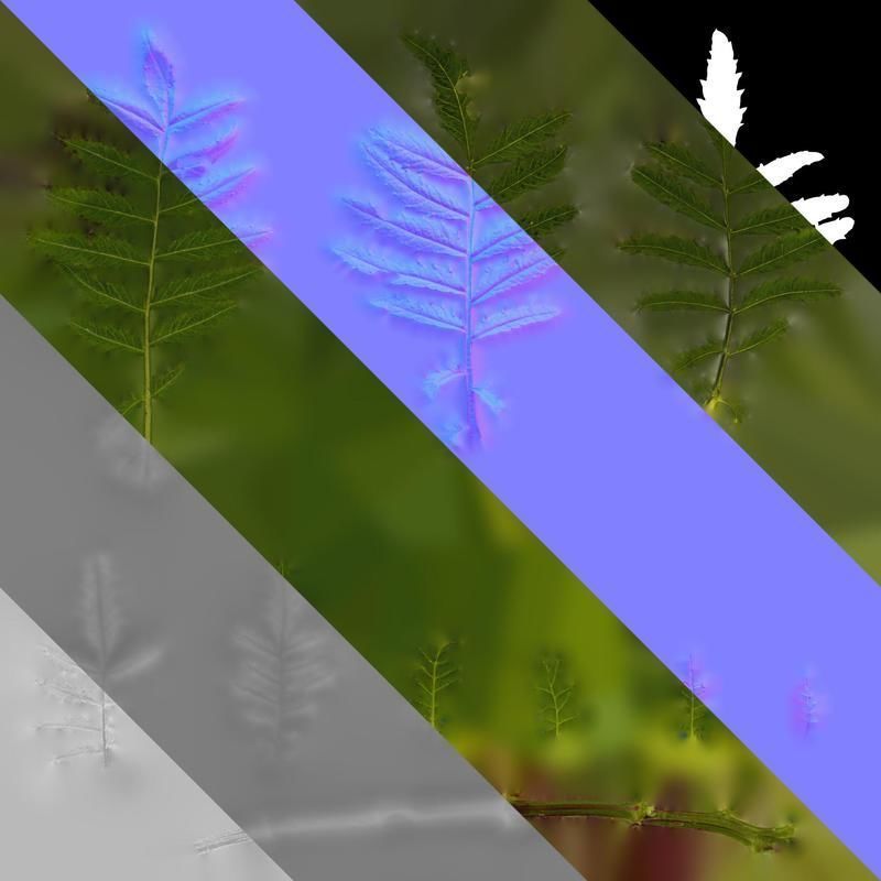 Anydrafts Tagetes patula Leaf 02 Texture_8