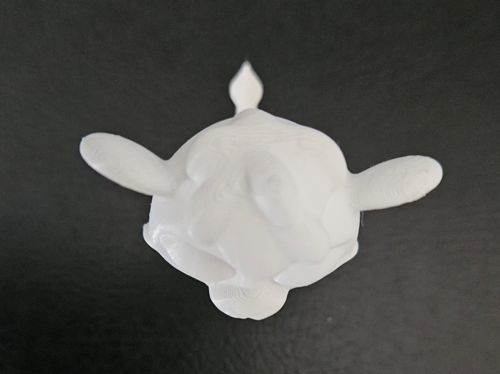 Baby Camel 3D print model_14