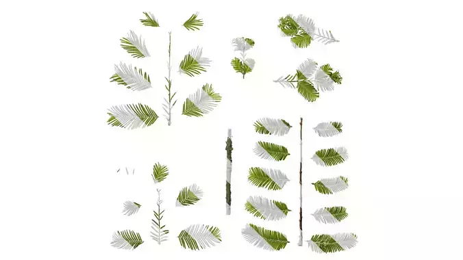 Anydrafts Metasequoia glyptostroboides Leaf 02