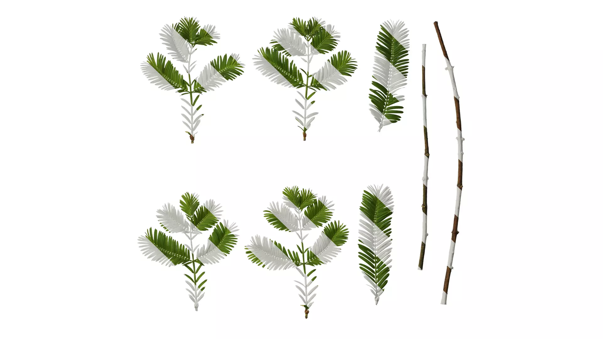 Anydrafts Metasequoia glyptostroboides Leaf 03 Texture_0