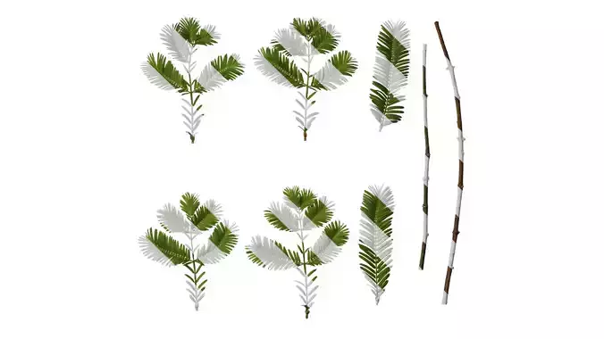 Anydrafts Metasequoia glyptostroboides Leaf 03