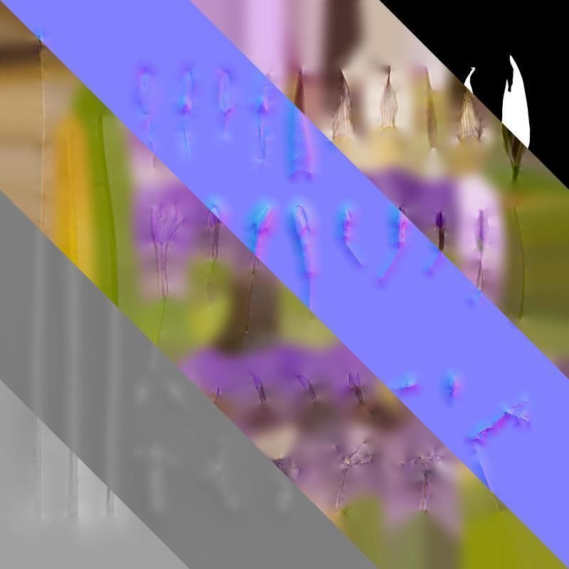 Anydrafts Tulbaghia violacea Flower 04 Texture_8