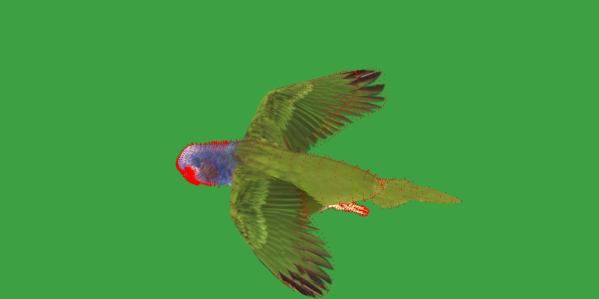 Pionus Parrot Bird Low-poly 3D model_27