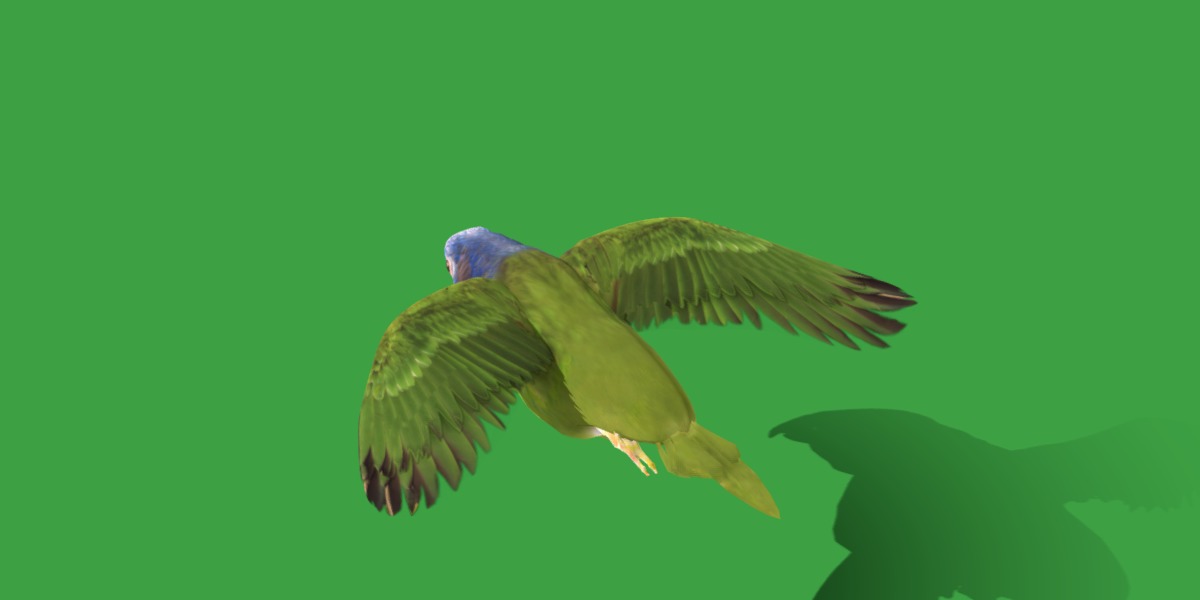 Pionus Parrot Bird Low-poly 3D model_11