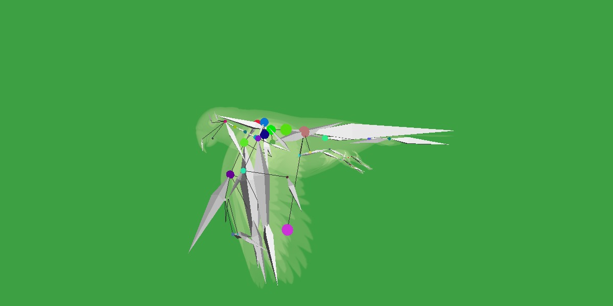 Pionus Parrot Bird Low-poly 3D model_33