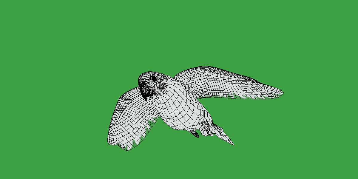 Pionus Parrot Bird Low-poly 3D model_24