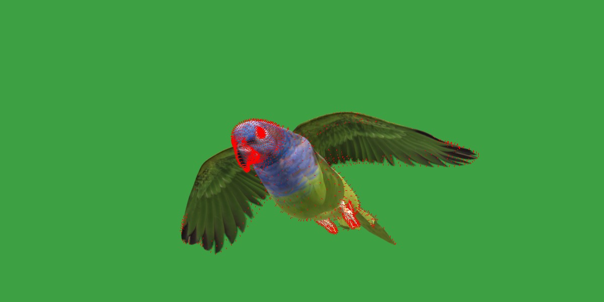 Pionus Parrot Bird Low-poly 3D model_25