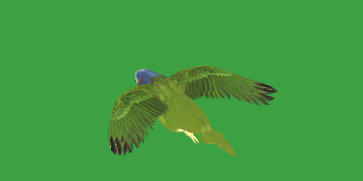 Pionus Parrot Bird Low-poly 3D model_15