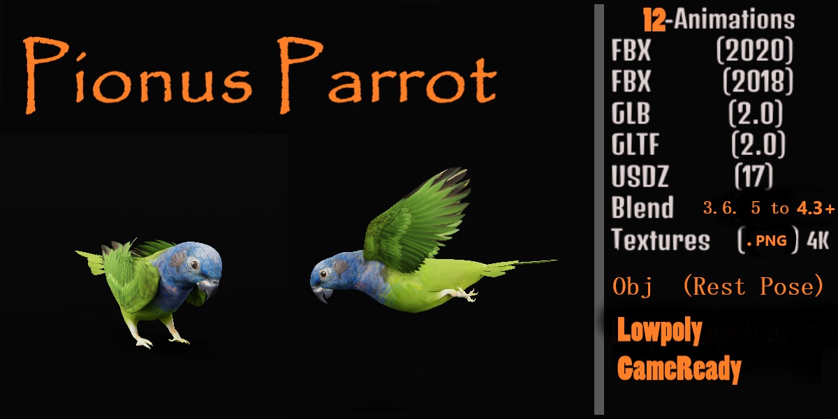 Pionus Parrot Bird Low-poly 3D model_2