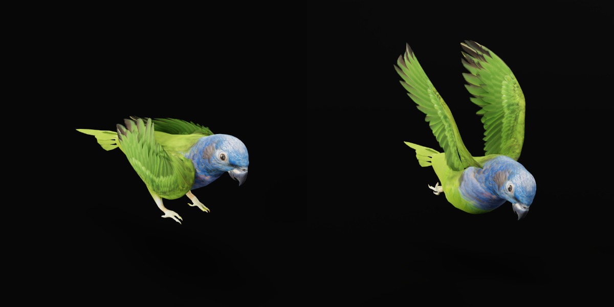 Pionus Parrot Bird Low-poly 3D model_12
