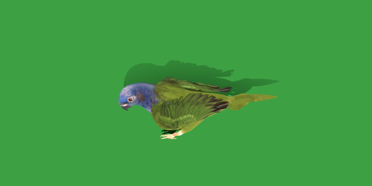 Pionus Parrot Bird Low-poly 3D model_3
