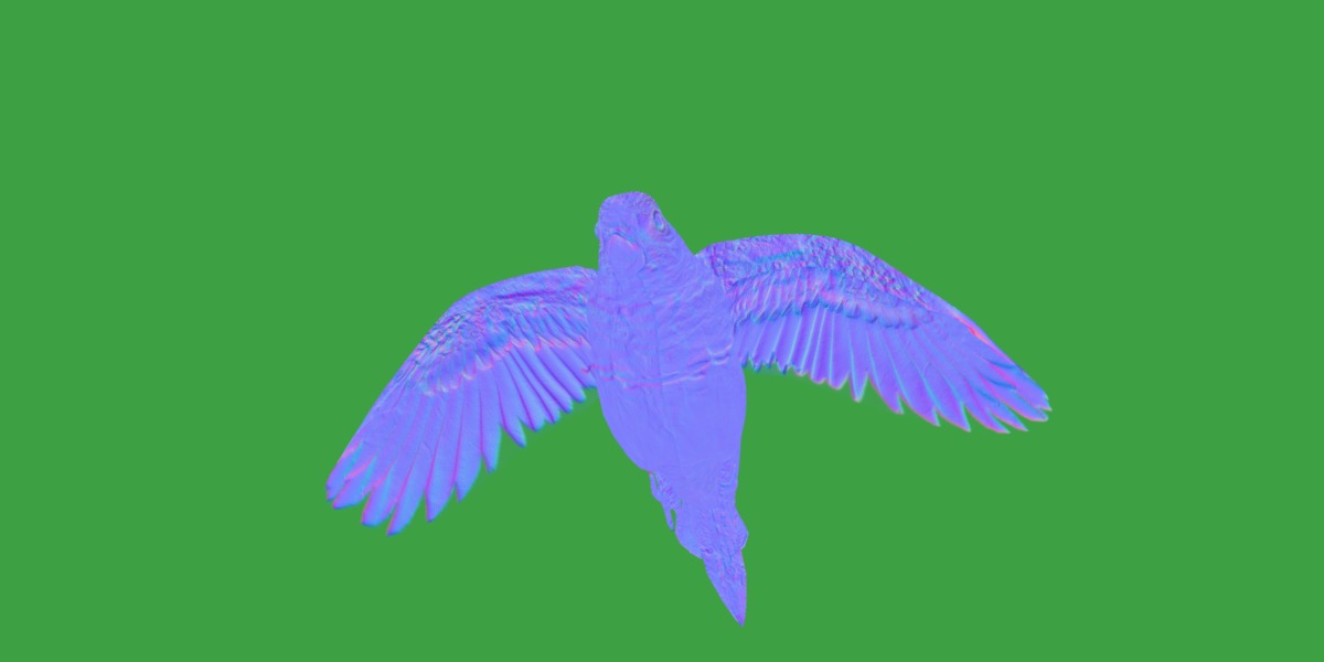 Pionus Parrot Bird Low-poly 3D model_17