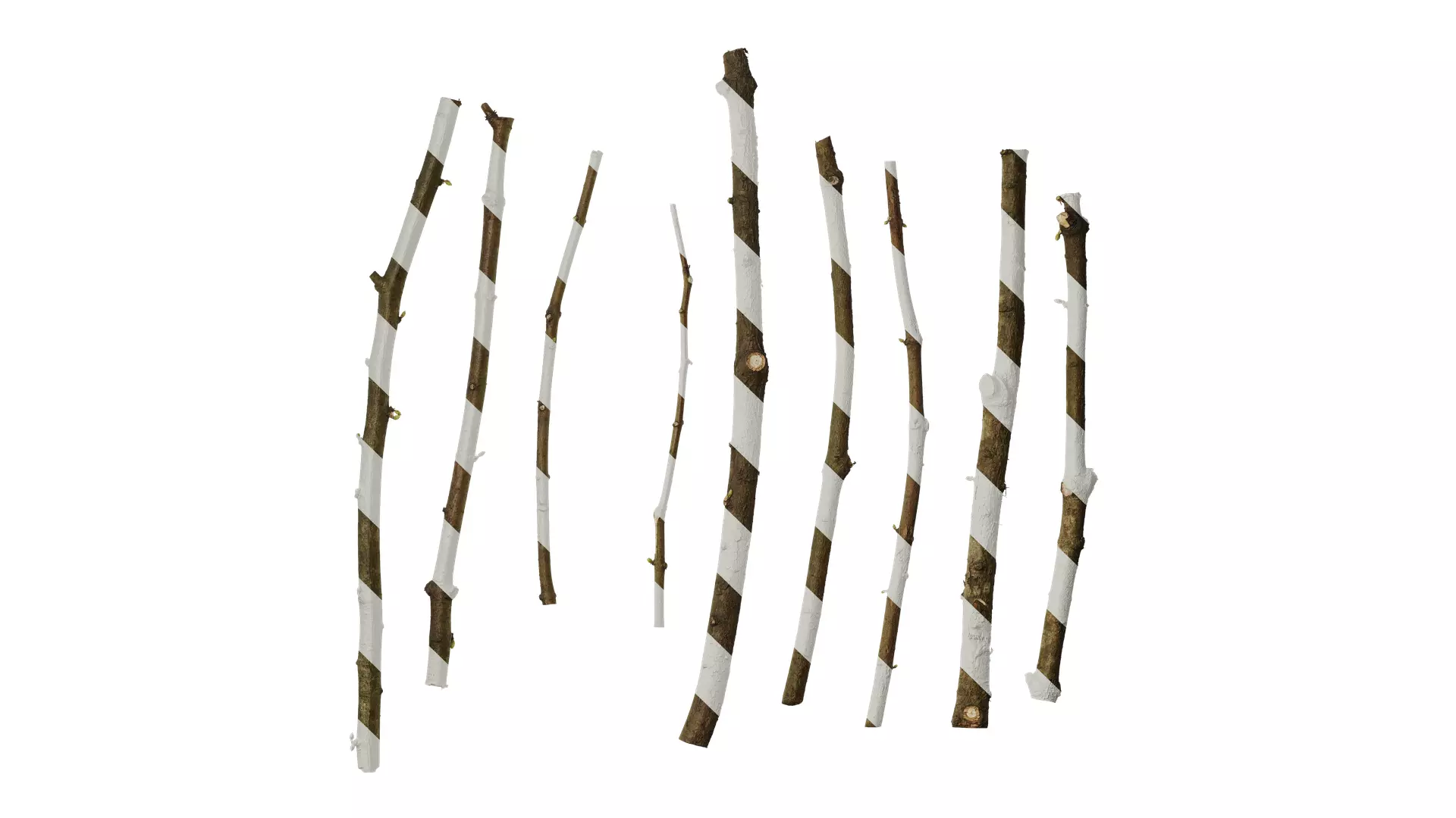 Anydrafts Metasequoia glyptostroboides Stem 01 Texture_0