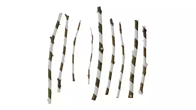 Anydrafts Metasequoia glyptostroboides Stem 01