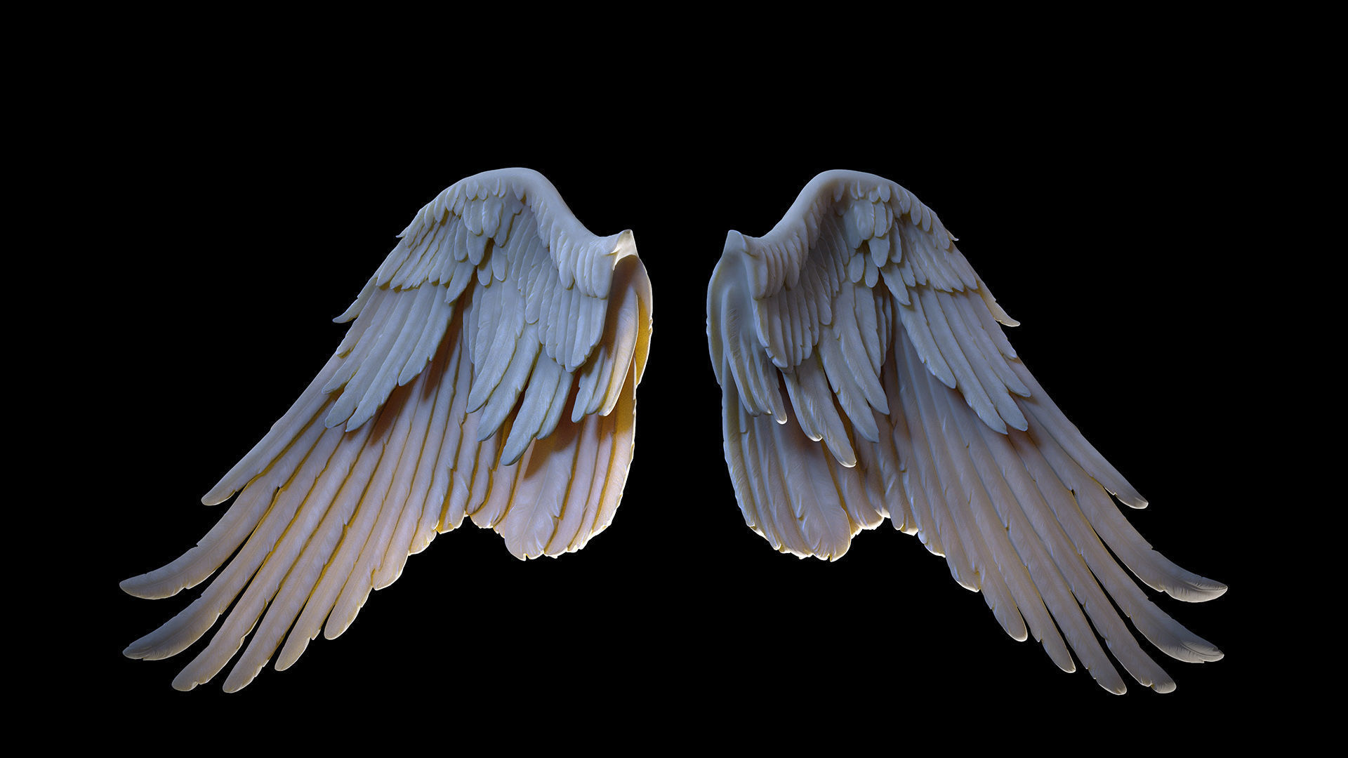 Wings  I 3D Sculpting 3D print model_9