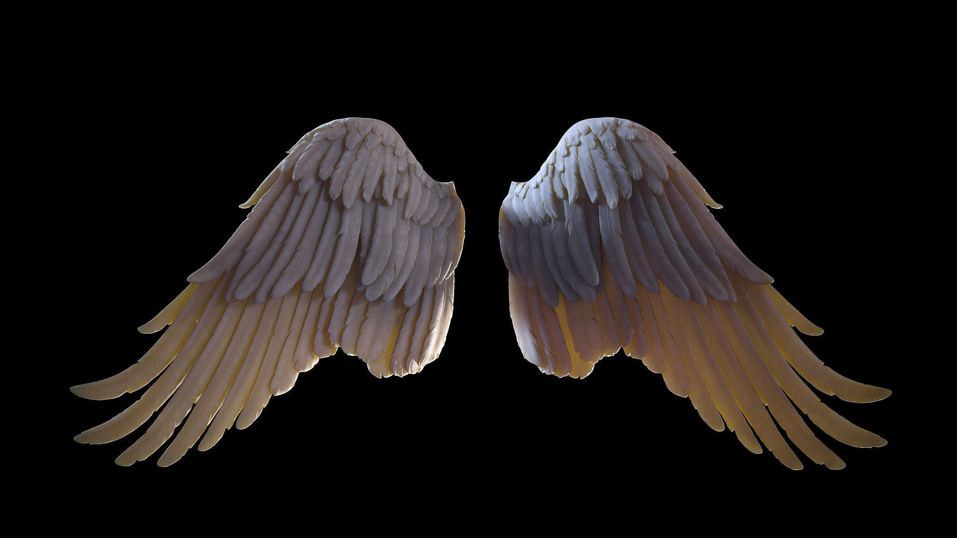 Wings  I 3D Sculpting 3D print model_8