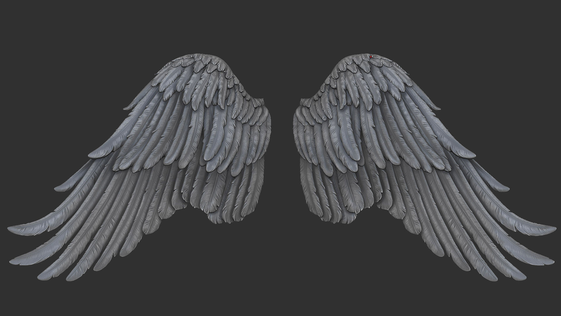 Wings  I 3D Sculpting 3D print model_3