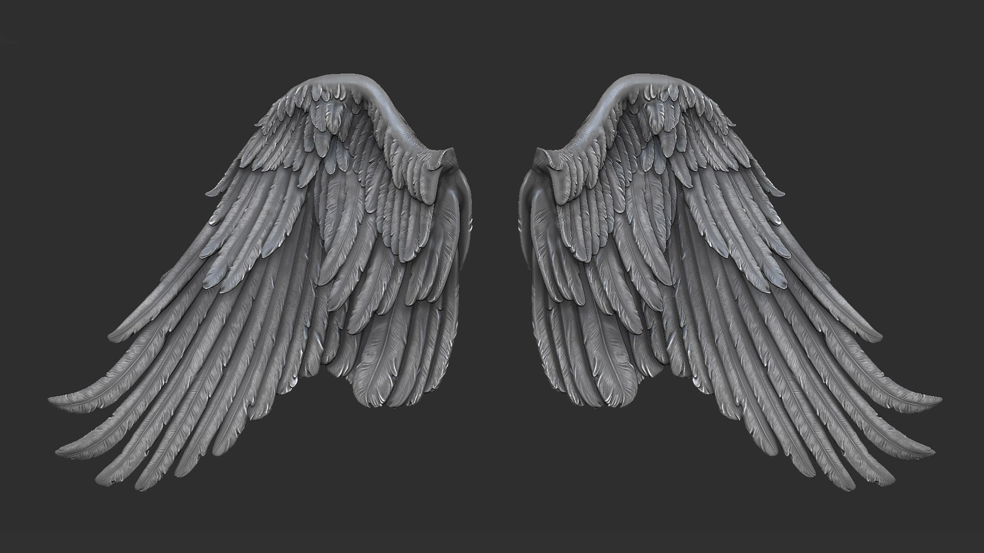 Wings  I 3D Sculpting 3D print model_4