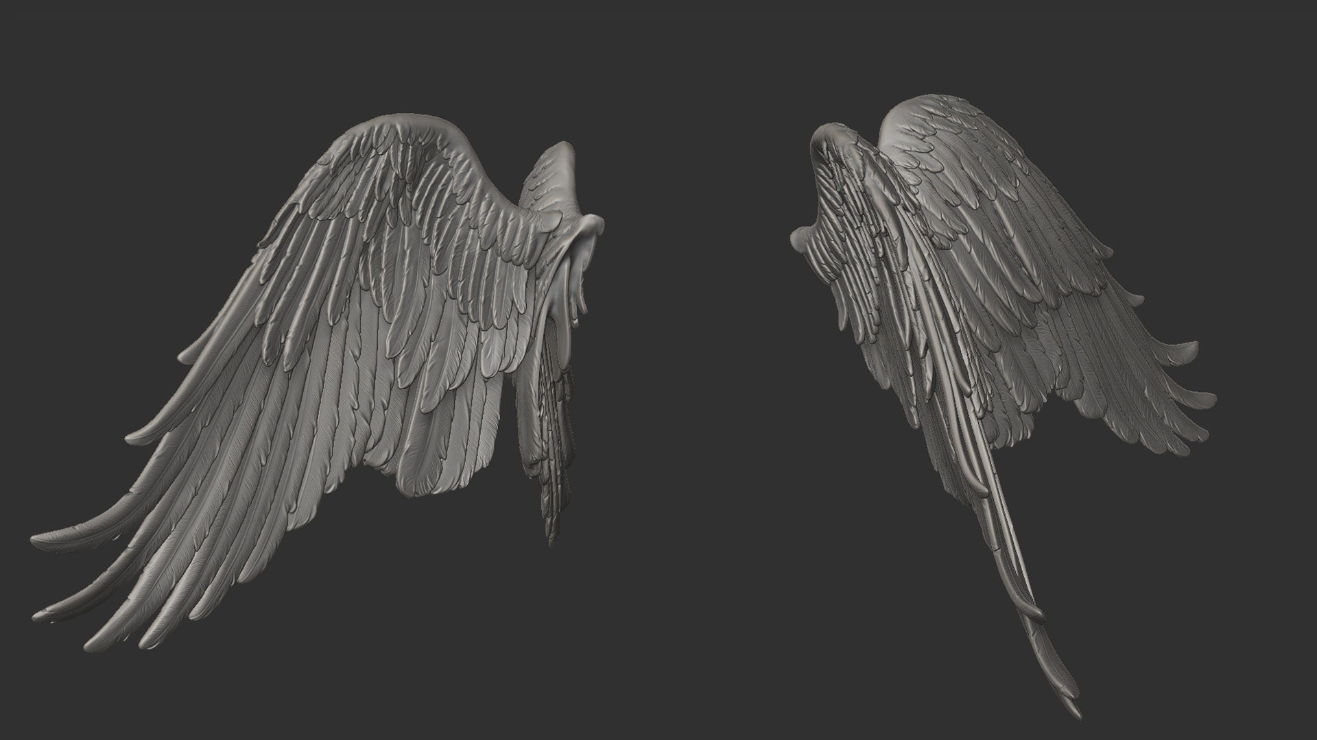 Wings  I 3D Sculpting 3D print model_6