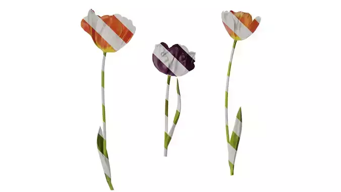 Anydrafts Tulipa gesneriana Atlas 02