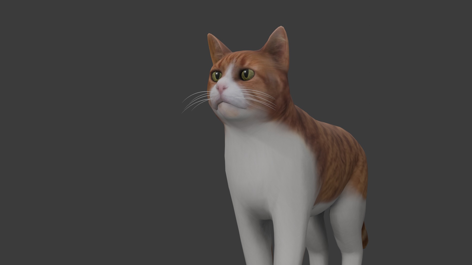 Cat model Low-poly 3D model_6