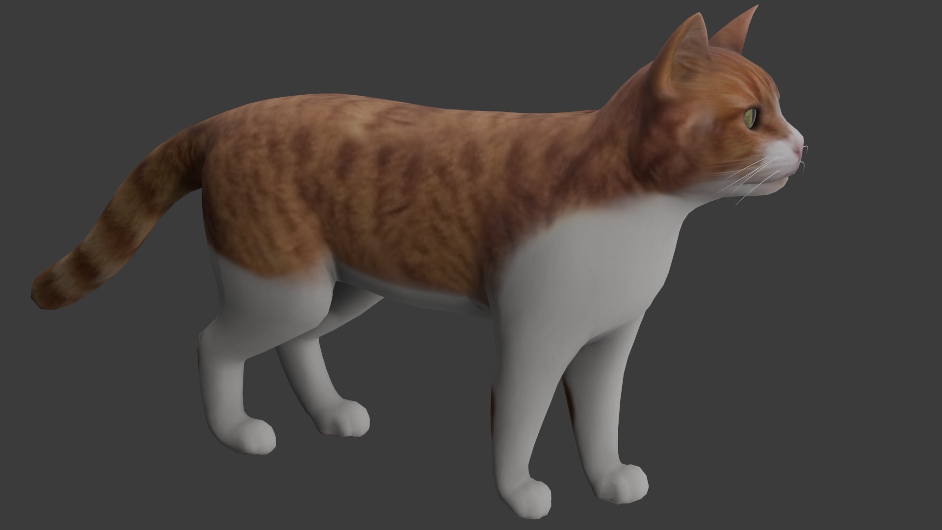 Cat model Low-poly 3D model_2