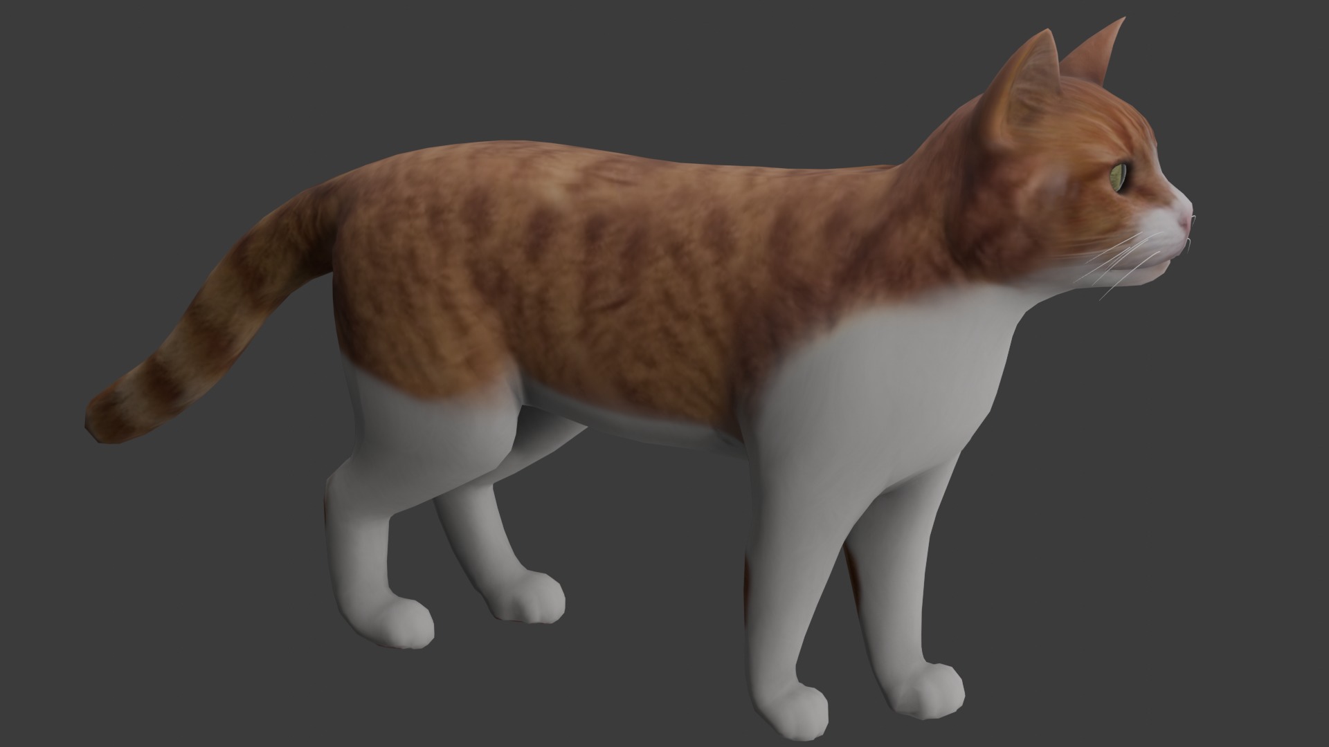 Cat model Low-poly 3D model_1
