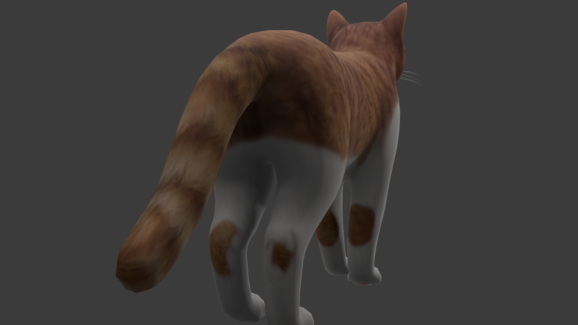 Cat model Low-poly 3D model_4