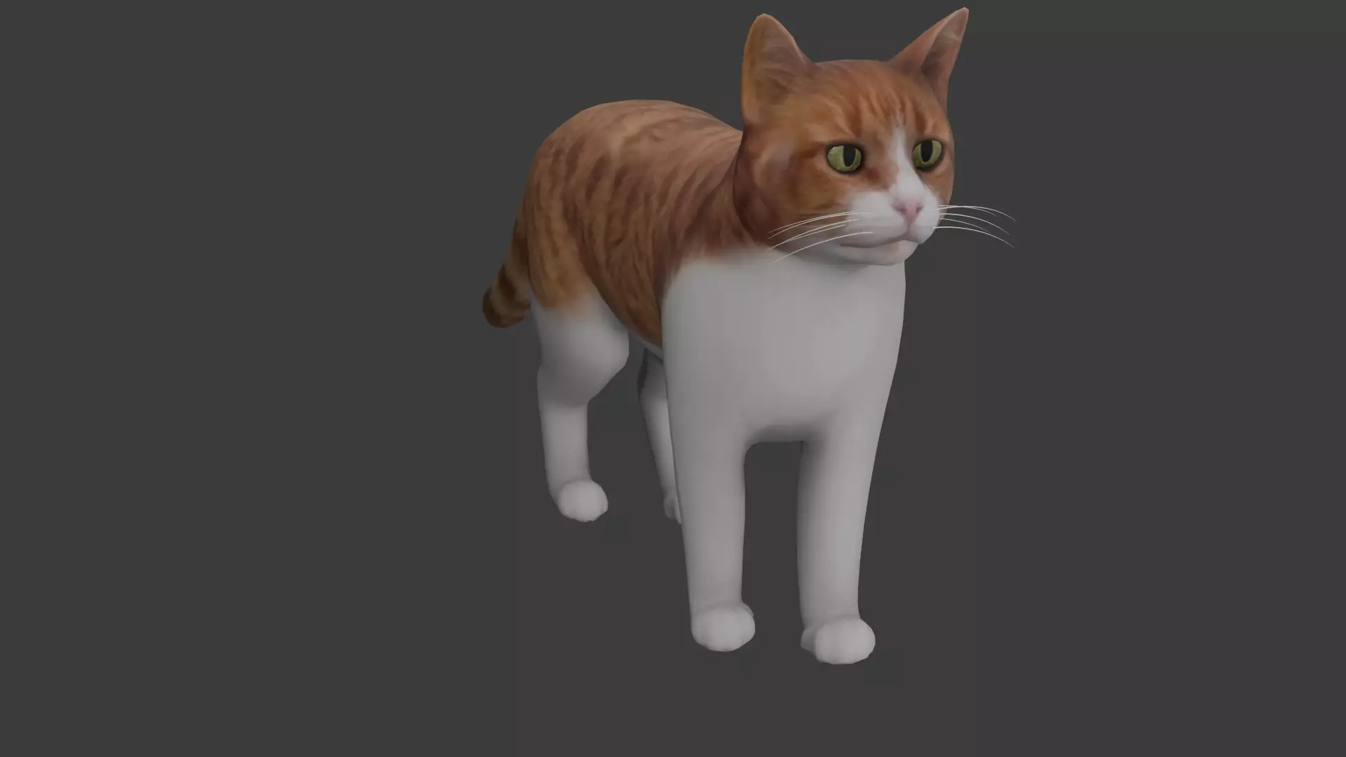 Cat model Low-poly 3D model_0