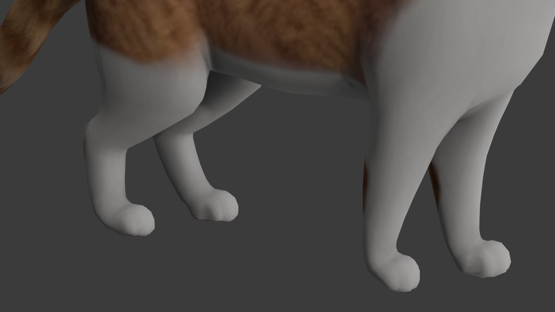 Cat model Low-poly 3D model_3