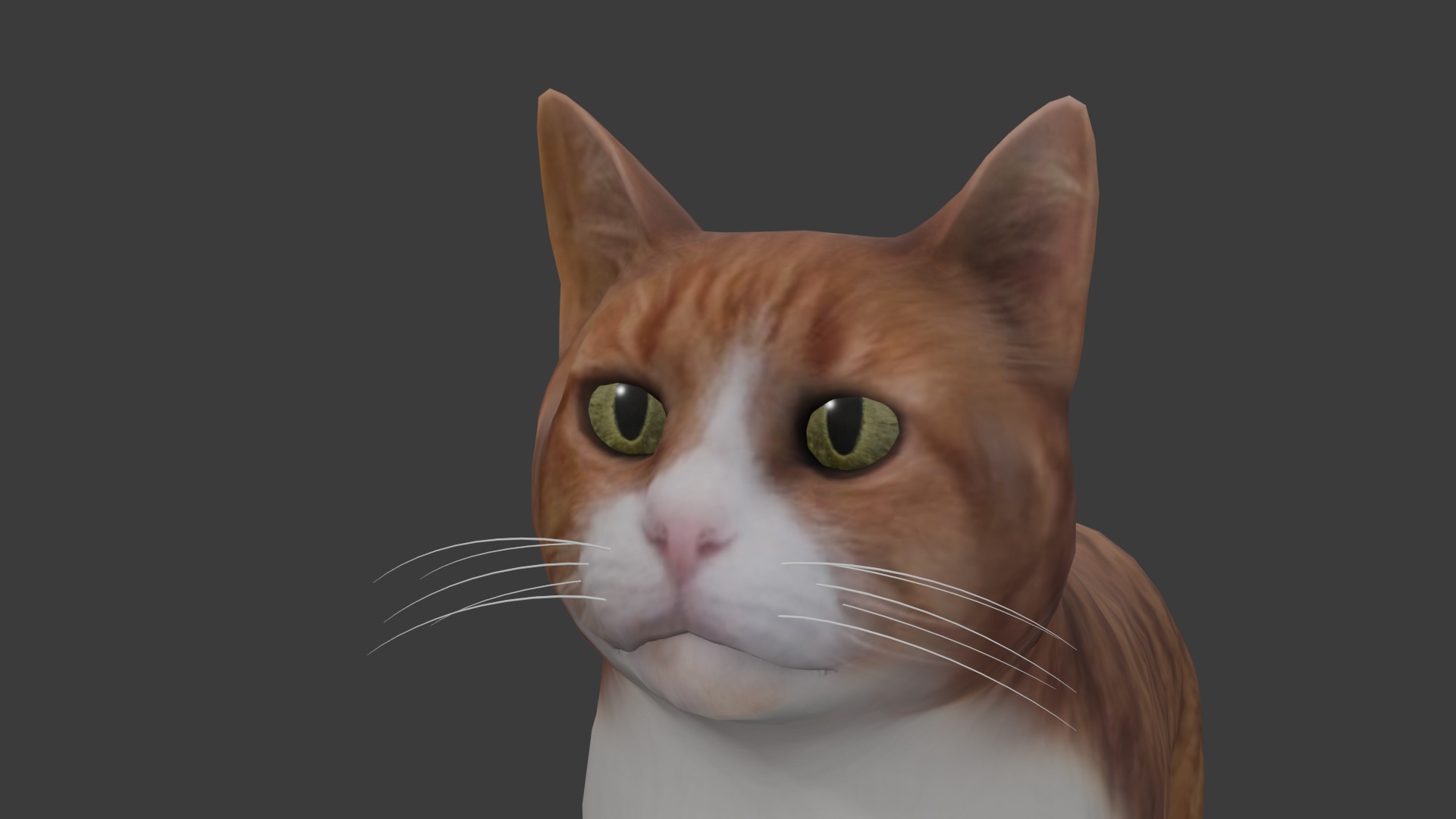 Cat model Low-poly 3D model_7
