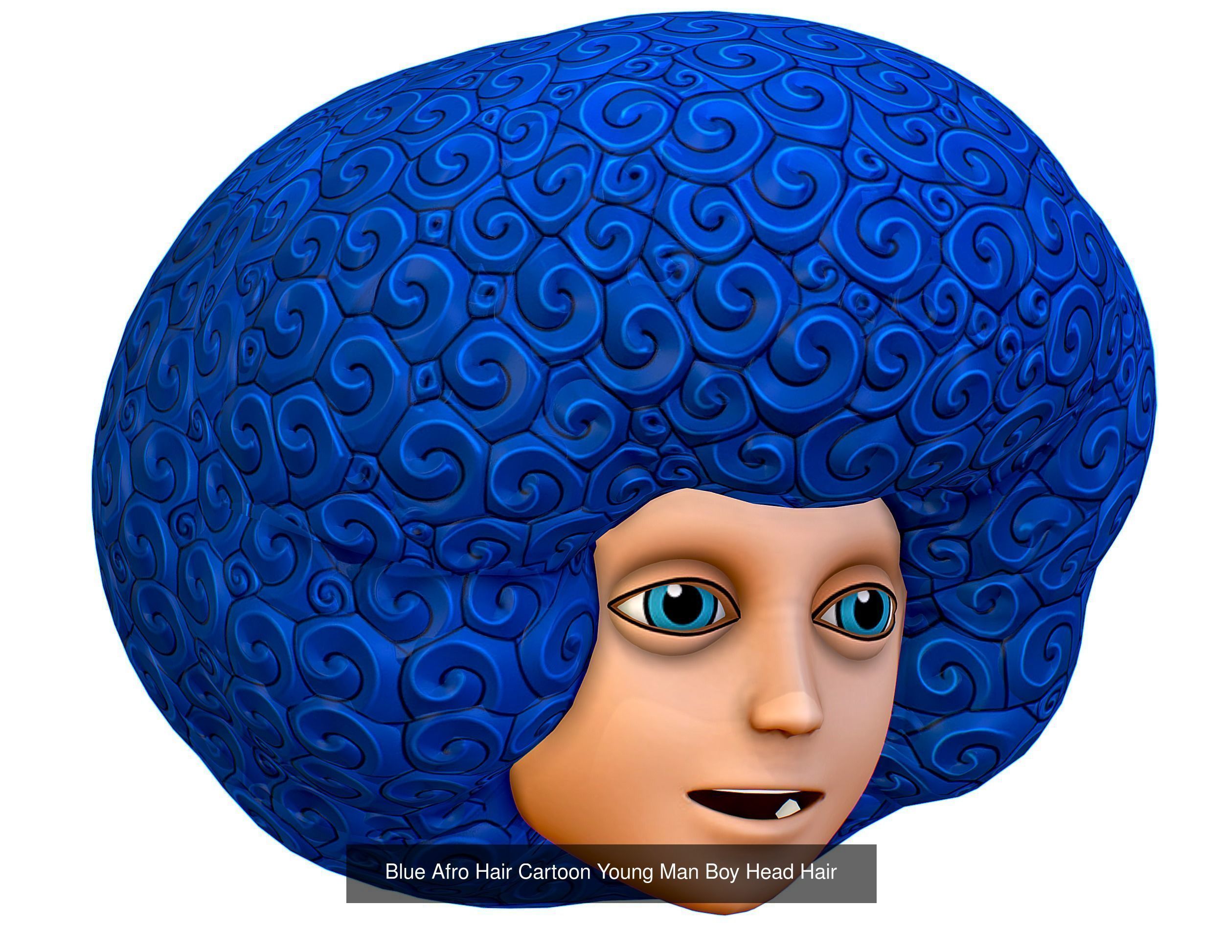 10 Colorful Afro Hairstyles Hair Haircut Clown Wig Wigs 3D Model Collection_2