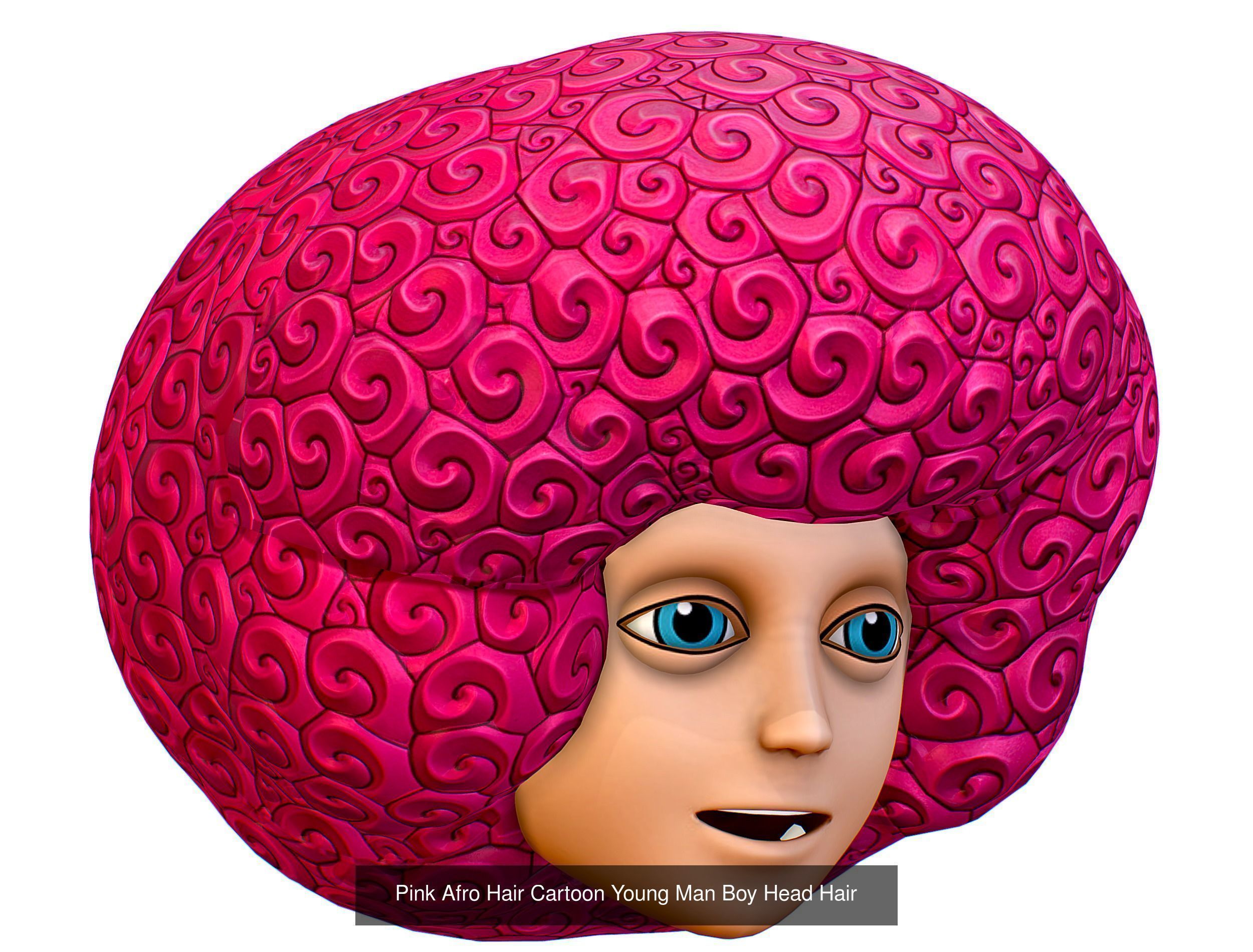 10 Colorful Afro Hairstyles Hair Haircut Clown Wig Wigs 3D Model Collection_1