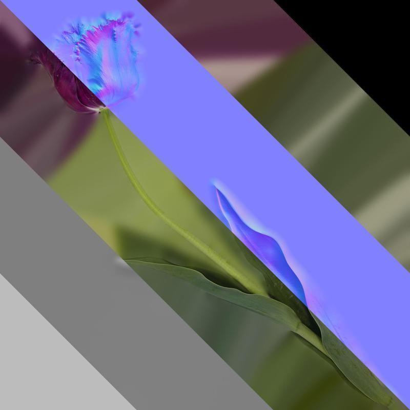 Anydrafts Tulipa gesneriana Atlas 15 Texture_8