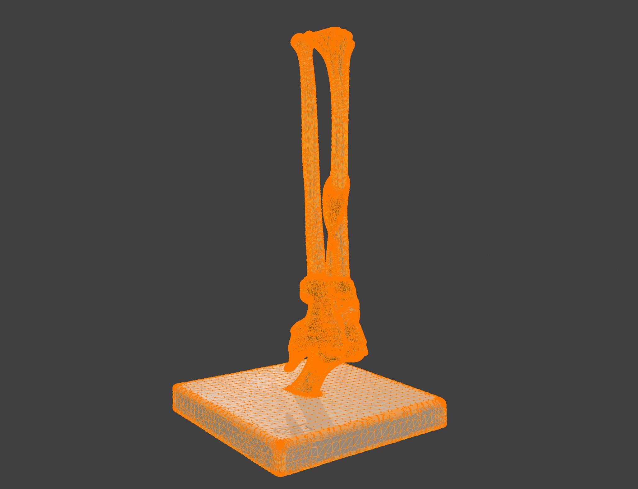 3D Joint Anatomy Model with Stand 3D print model_8