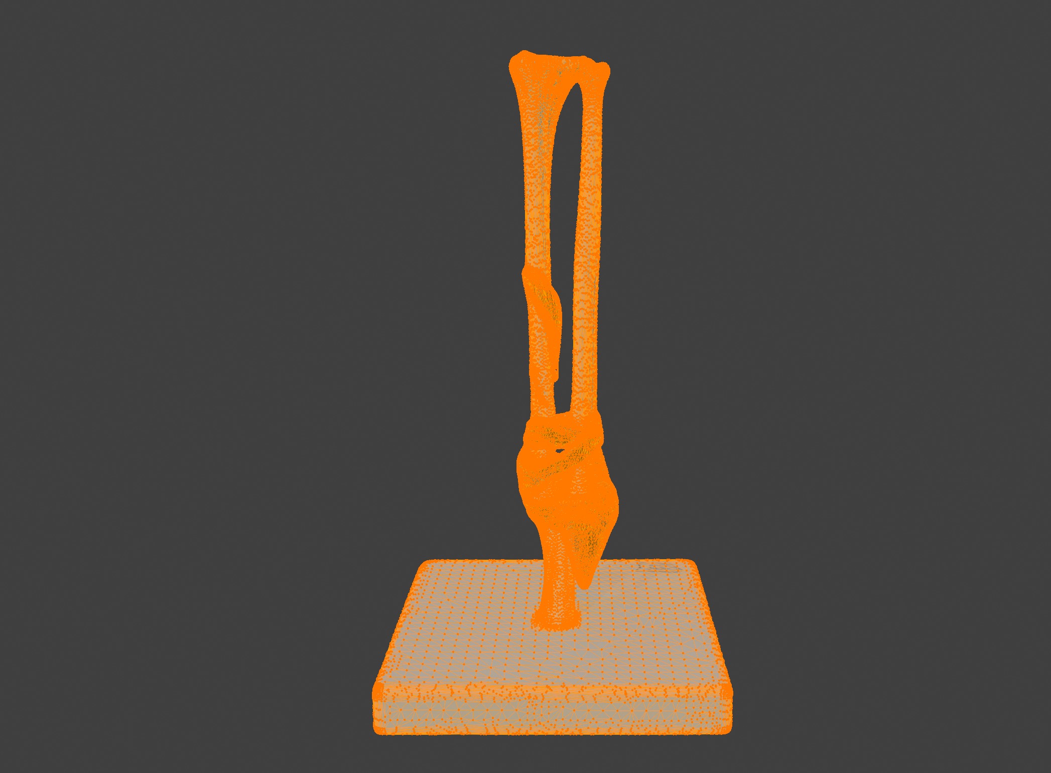3D Joint Anatomy Model with Stand 3D print model_10