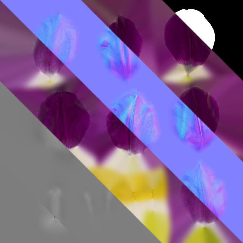 Anydrafts Tulipa gesneriana Flower 02 Texture_8