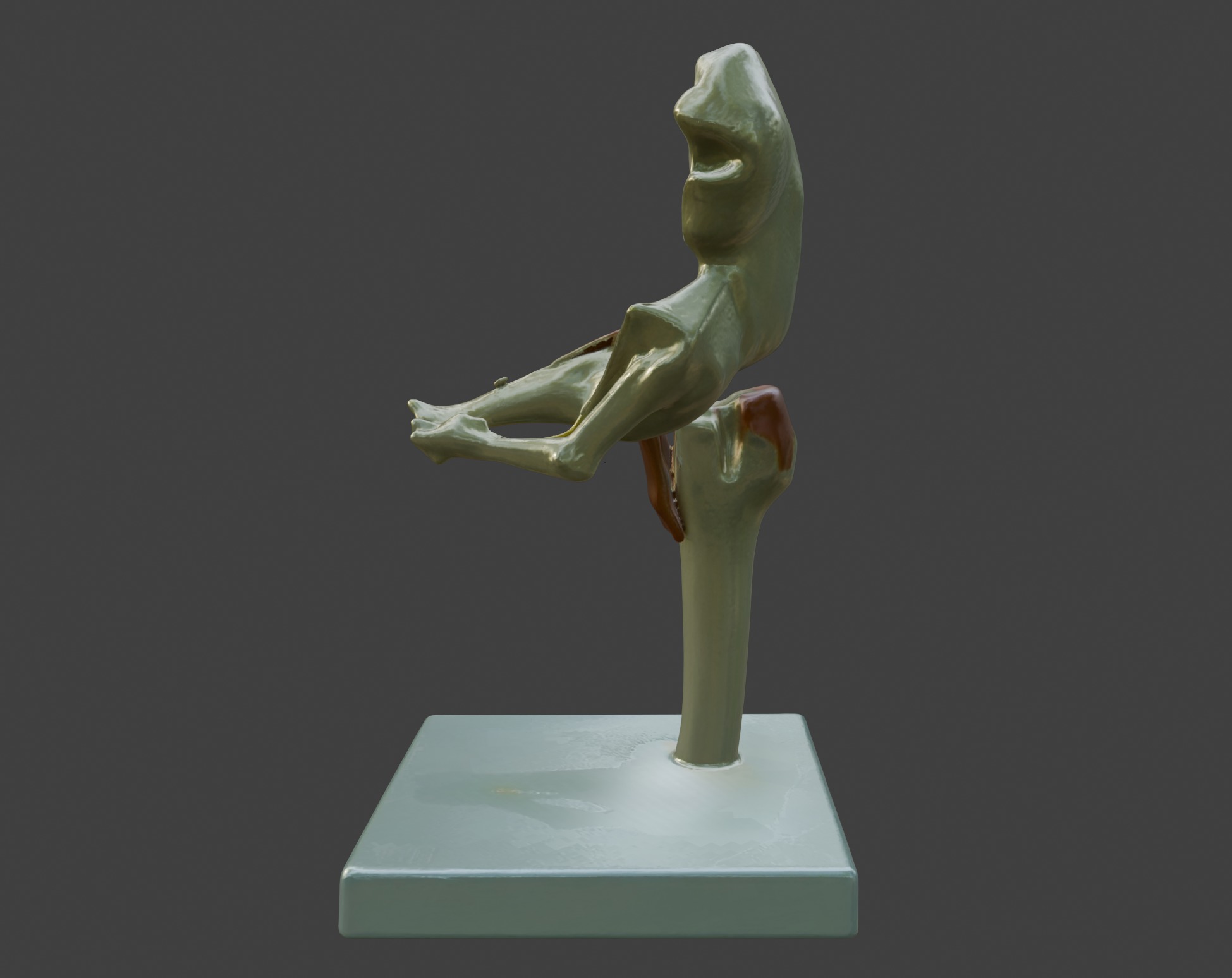 3D Joint Anatomy Model Set with Stand - 4 pack 3D print model_25