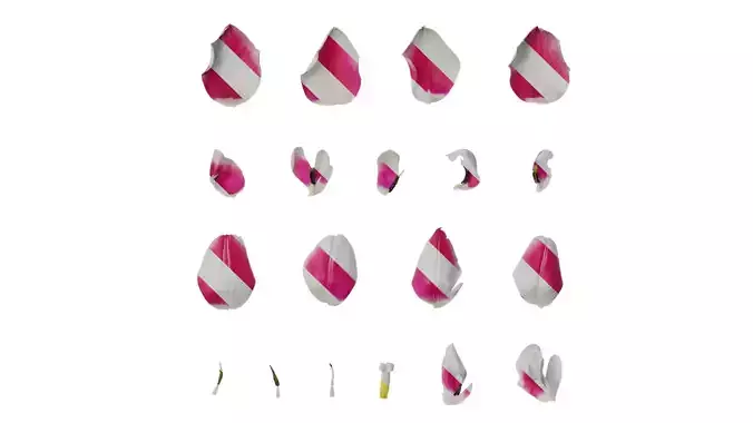 Anydrafts Tulipa gesneriana Flower 05