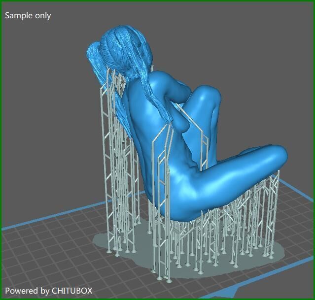 Nadia 3D print model_7