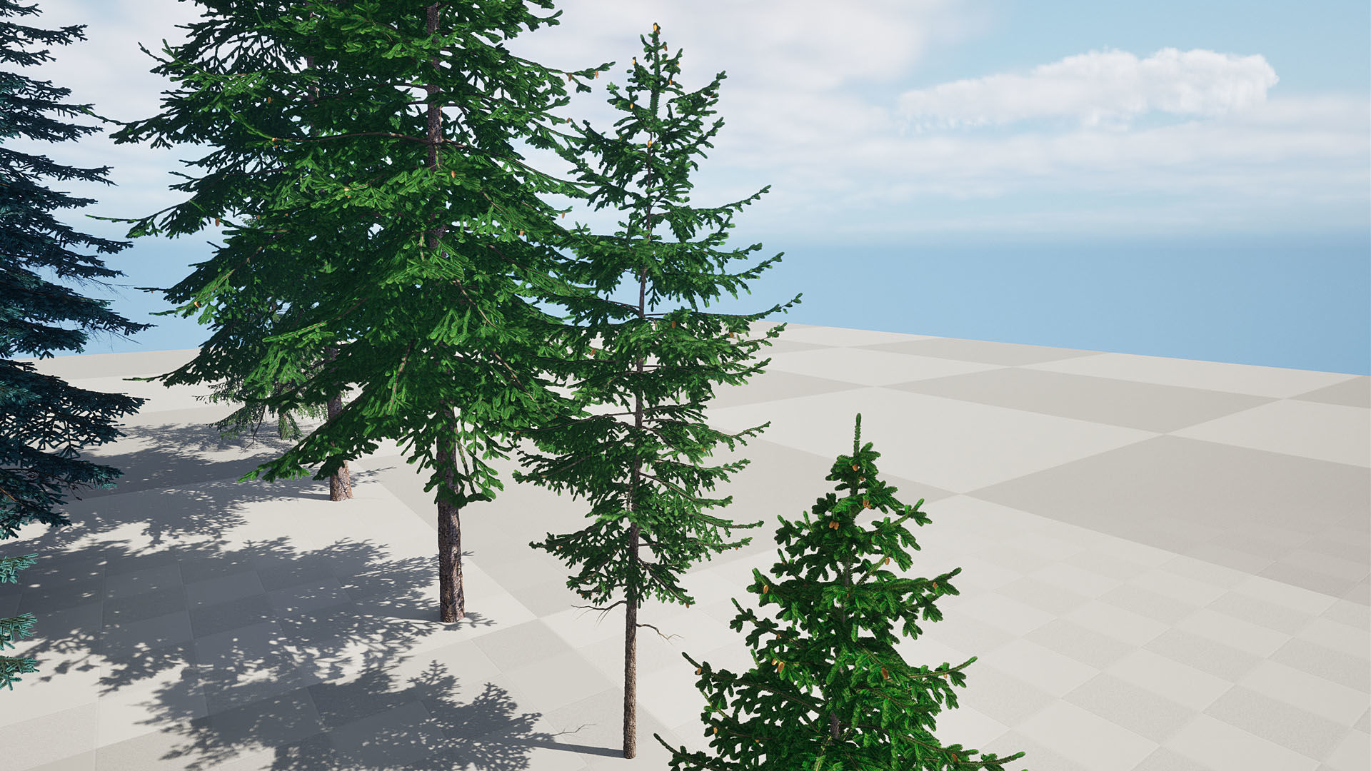 AB3D Plants Volume 8 Spruces for UE 5 28 types 3D model_18